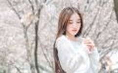 天美传媒MV免费观看软件特色